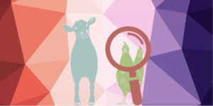 An image of a cow and a chicken set against a pastel background. The chicken is looking through a magnifying glass.